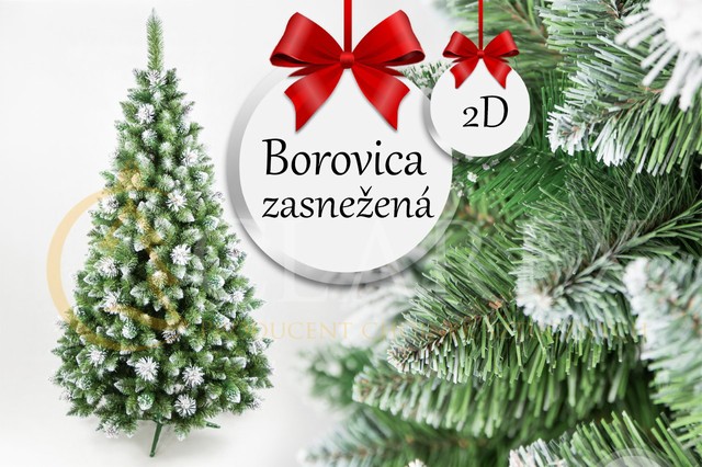 Vianočný stromček Borovica  zasnežená 150 cm